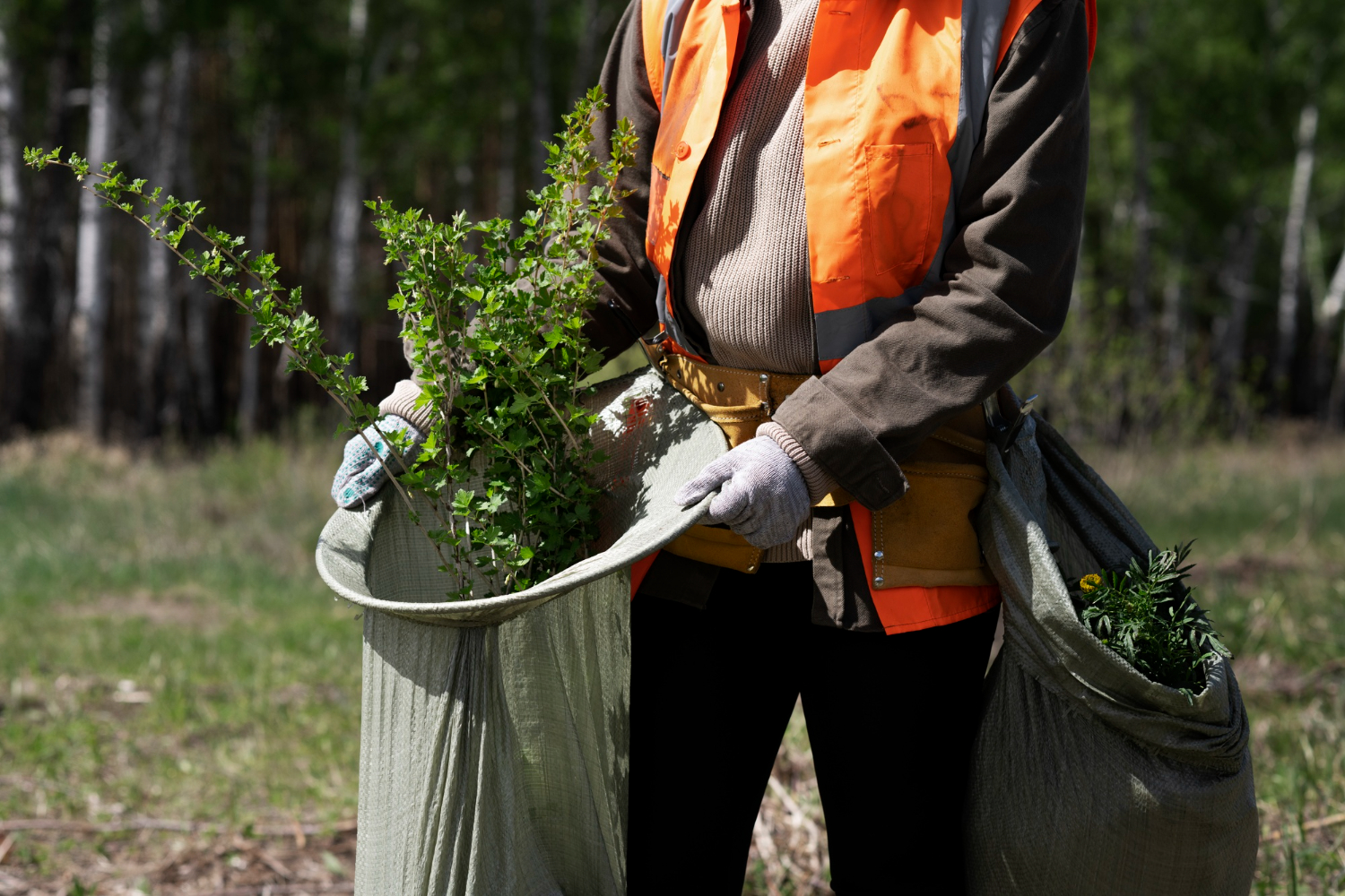 Garden Waste Removal Services