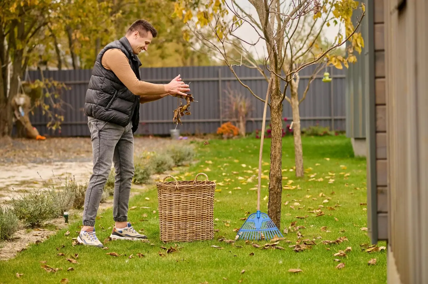 Man collecting leaves in garden with basket