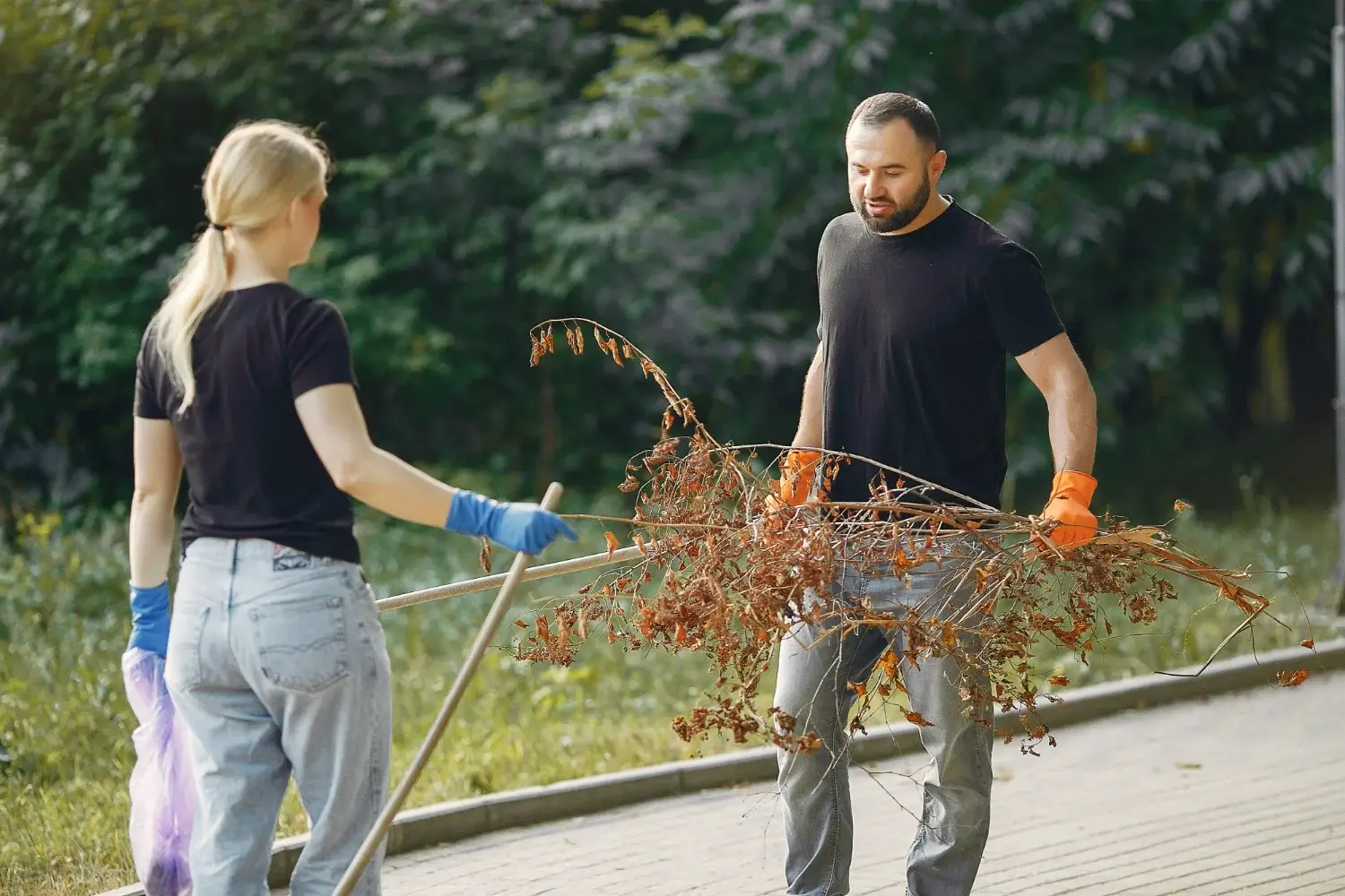 Two people cleaning up dry branches