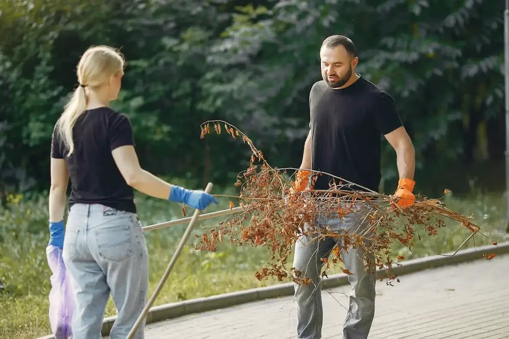 Garden waste removal