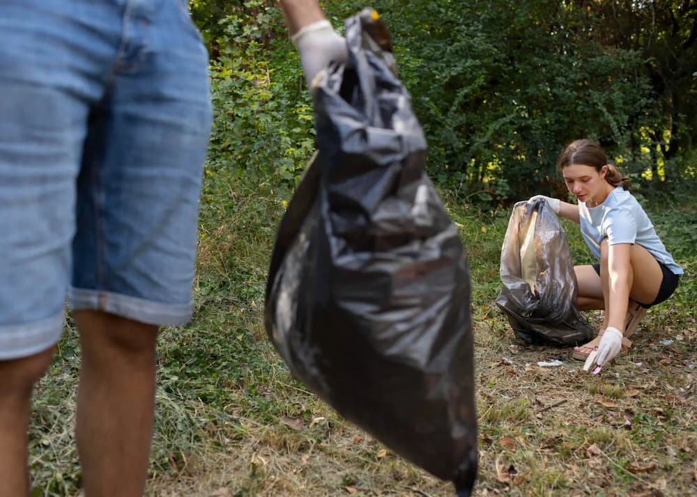 Volunteers cleaning up park litter.